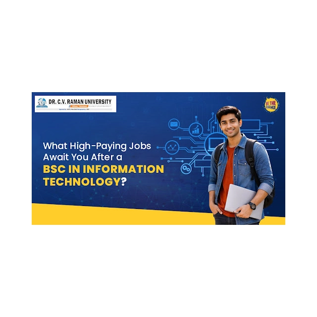 What High-Paying Jobs Await You After a BSc in Information Technology?